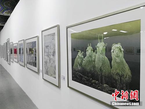 雞西版畫晉京展，黑土地藝術之花綻放北京